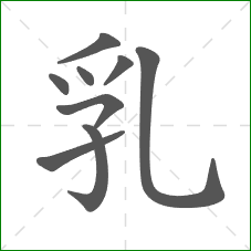 乳的笔顺