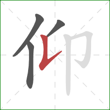 仰的笔顺第4画：竖提