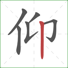 仰的笔顺第6画：竖