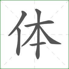 体的笔顺