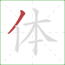 体的笔顺第1画：撇