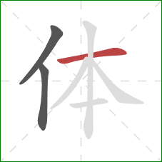 体的笔顺第3画：横