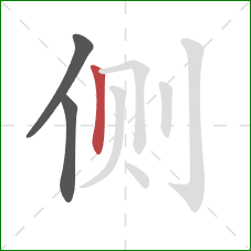 侧的笔顺第3画:竖 侧的笔顺第3画:竖