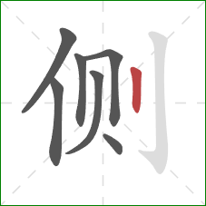 侧的笔顺第7画:竖 侧的笔顺第7画:竖