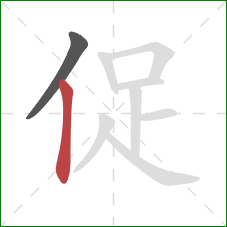 促的笔顺第2画：竖