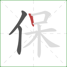 保的笔顺第3画：竖