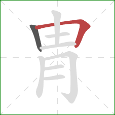 冑的笔顺第2画：横折