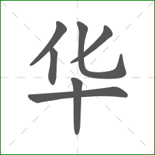 华的笔顺