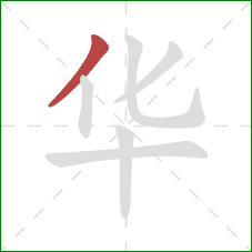 华的笔顺第1画：撇