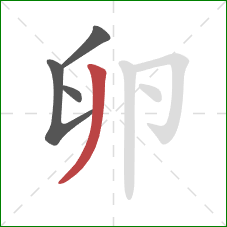 卵的笔顺第4画：撇