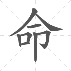 命的笔顺