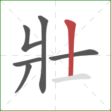 壯的笔顺第6画：竖