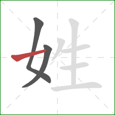 姓的笔顺第3画：提