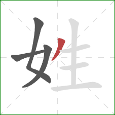 姓的笔顺第4画：撇