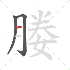 媵的笔顺第3画：横