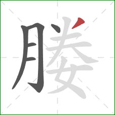 媵的笔顺第6画：撇