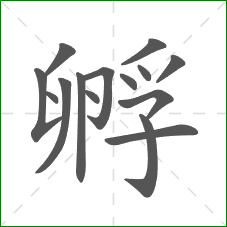 孵的笔顺