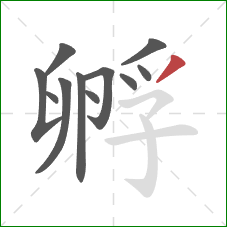 孵的笔顺第11画：撇