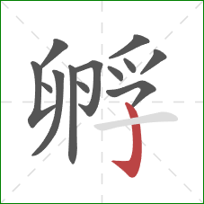 孵的笔顺第13画：竖钩