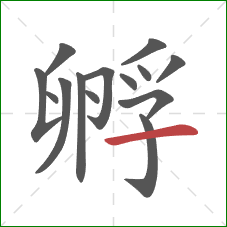 孵的笔顺第14画：横