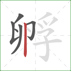 孵的笔顺第6画：竖