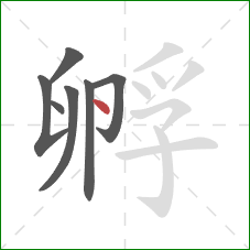 孵的笔顺第7画：点