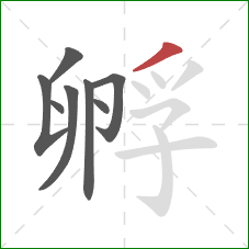 孵的笔顺第8画：撇