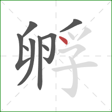 孵的笔顺第9画：点