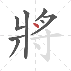 將的笔顺第8画：点