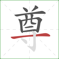 尊的笔顺第10画:横 尊的笔顺第10画:横