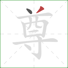 尊的笔顺第2画:撇 尊的笔顺第2画:撇