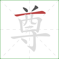 尊的笔顺第3画:横 尊的笔顺第3画:横