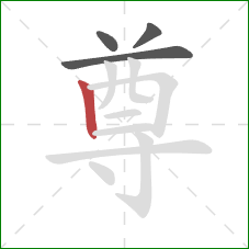 尊的笔顺第4画:竖 尊的笔顺第4画:竖