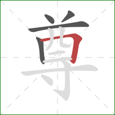 尊的笔顺第5画:横折 尊的笔顺第5画:横折