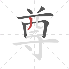 尊的笔顺第6画:撇 尊的笔顺第6画:撇