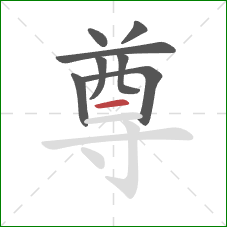 尊的笔顺第8画:横 尊的笔顺第8画:横