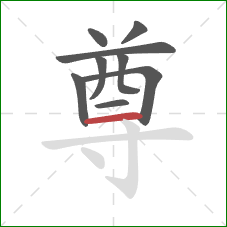 尊的笔顺第9画:横 尊的笔顺第9画:横