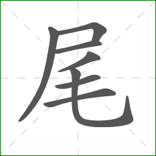 尾的笔顺