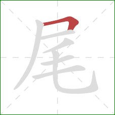 尾的笔顺第1画：横折