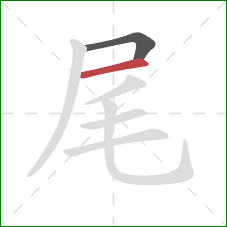 尾的笔顺第2画：横