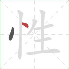 性的笔顺第2画：点