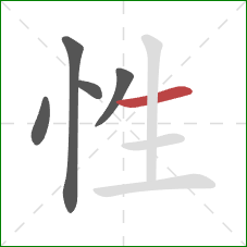 性的笔顺第5画：横