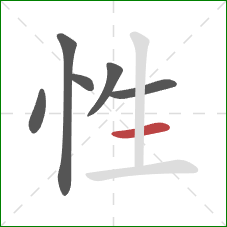 性的笔顺第6画：横