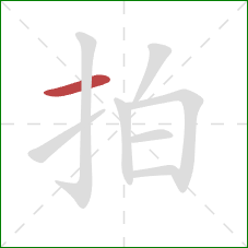 拍的笔顺第1画：横