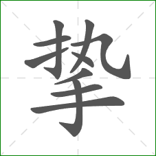 挚的笔顺 挚的笔顺