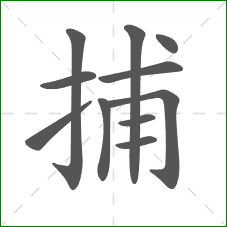 捕的笔顺