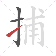 捕的笔顺第3画：提