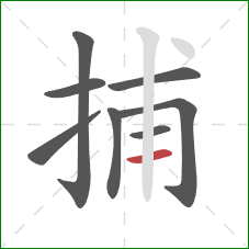 捕的笔顺第8画：横
