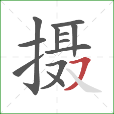 摄的笔顺第12画：横撇
