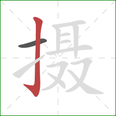摄的笔顺第2画：竖钩